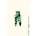 Cicada