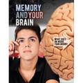 Memory and Your Brain