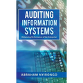 Auditing Information Systems: Enhancing Performance of the Enterprise