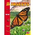 Insects