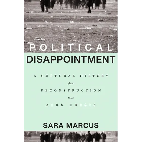 Political Disappointment: A Cultural History from Reconstruction to the AIDS Crisis