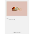 Robert Zhao Renhui: A Guide to the Flora and Fauna of the World: Steidl Book Award Asia 2017