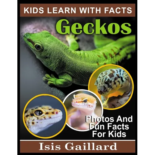 Geckos: Photos and Fun Facts for Kids
