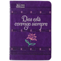 Dios Está Conmigo Siempre: 365 Días Devocionario