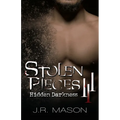 Stolen Pieces III: Hidden Darkness
