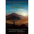 Encouragement in the Wilderness: A Daily Devotional for Days of Discouragement, Depression, and Despair