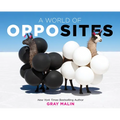 A World of Opposites: A Picture Book