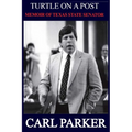 Turtle on a Post
