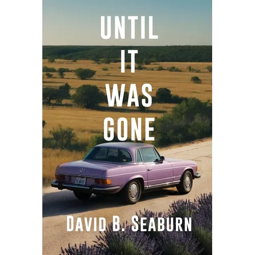 Until It Was Gone: A Contemporary Family Novel of Resilience and Hope