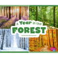 A Year in the Forest