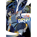 Durarara!!, Vol. 12 (Light Novel)