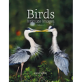 Birds: Intimate Images Volume 2