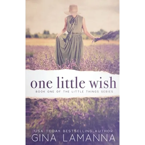 One Little Wish: a romantic suspense novel