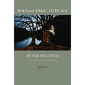 BIRD and TREE / IN PLACE