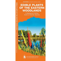 Edible Plants of the Eastern Woodlands: A Folding Pocket Guide to Familiar Species