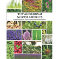 The Top 40 Herbs of North America: Natural remedies from Mexico, the United States, and Canada.