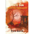 White Sun: Stories from Hispanoamerica