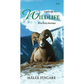 A Field Guide to Wildlife of the Rocky Mountains