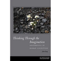 Thinking Through the Imagination: Aesthetics in Human Cognition