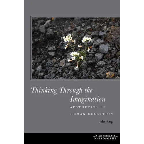 Thinking Through the Imagination: Aesthetics in Human Cognition