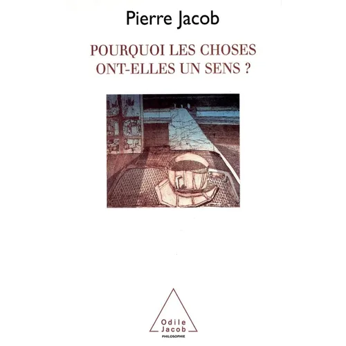 Pourquoi les choses ont-elles un sens ?