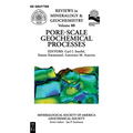 Pore Scale Geochemical Processes