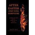 After Easter: Step into Scripture a Bible Study of the First Acts of the Apostles