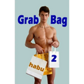 Grab Bag 2: An Unthemed Gay Erotica Anthology