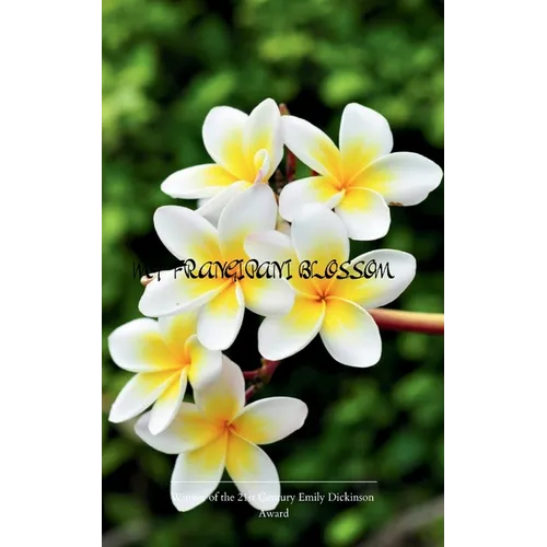The Frangipani Blossom