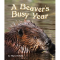 The Beavers' Busy Year