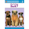 Why Do Dogs Bark?
