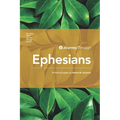 Journey Through Ephesians: 40 Biblical Insights By Robert M. Solomon