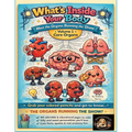 What's Inside Your Body, Volume 1, Core Organs