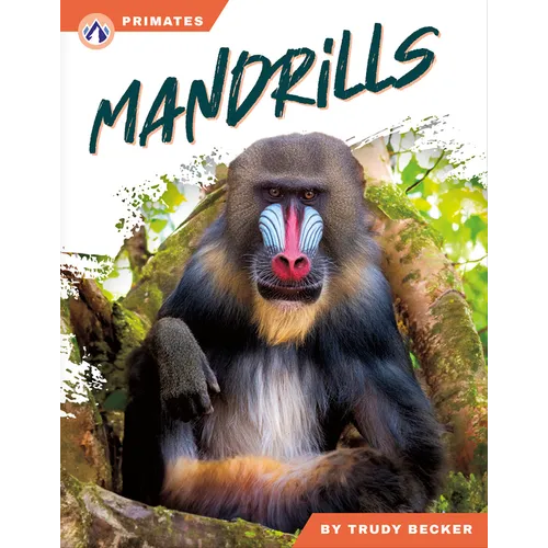 Mandrills - Paperback