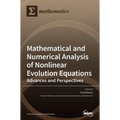 Mathematical and Numerical Analysis of Nonlinear Evolution Equations: Advances and Perspectives