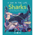 Sharks (a Day in the Life): What Do Great Whites, Hammerheads, and Whale Sharks Get Up to All Day?