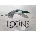 Loons: Treasured Symbols of the North