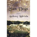 Sun Dogs