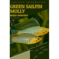 Green Sailfin Molly: From Novice to Expert. Comprehensive Aquarium Fish Guide