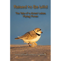 Raised to Be Wild: The Tale of a Great Lakes Piping Plover