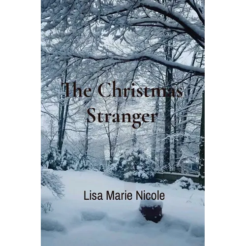 The Christmas Stranger