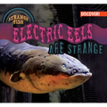 Electric Eels Are Strange