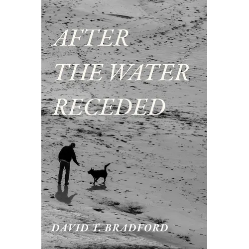 After the Water Receded