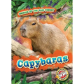 Capybaras