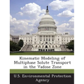 Kinematic Modeling of Multiphase Solute Transport in the Vadose Zone
