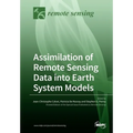 Assimilation of Remote Sensing Data into Earth System Models