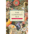 The Luminous Sea