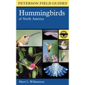 Hummingbirds of North America