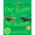 One Iguana, Two Iguanas: A Story of Accident, Natural Selection, and Evolution