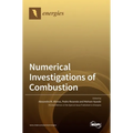 Numerical Investigations of Combustion